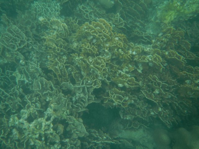 dscn1726